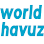 World Havuz logosu