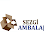 Sezgi Ambalaj Ve Otomotiv Ticaret Ltd. Şti. logosu