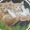 Efelif petshop logosu