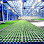 Haksev Greenhouse logosu