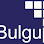 Bulgu Çatı Sistemleri logosu