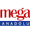 Anadolu Mega Medikal Limited Şirketi logosu