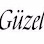 Akhisar Güzel Hafriyat logosu