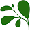 Çelik Zeytinyağı Fabrikası logosu