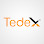 Tedex Safety logosu