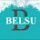 Belsu Ambalaj Poşet Plastik logosu