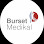 BURSET MEDİKAL LTD.ŞTİ. logosu