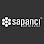 SAPANCI WHIP CHECK - KABLO ÇORABI - HORTUM TUTUCU logosu