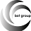 BSF GROUP logosu