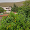 HATAY TARIM logosu