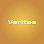Veritas Exim Ltd. Şti. logosu