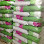 ARO - Dondurma Tozu Ice cream powder mix logosu