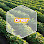 Öner Dış Ticaret A.Ş. logosu