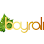 Boyrali Tekstil logosu