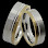 ALYANS logosu