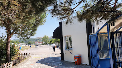 Delphi kapak görseli