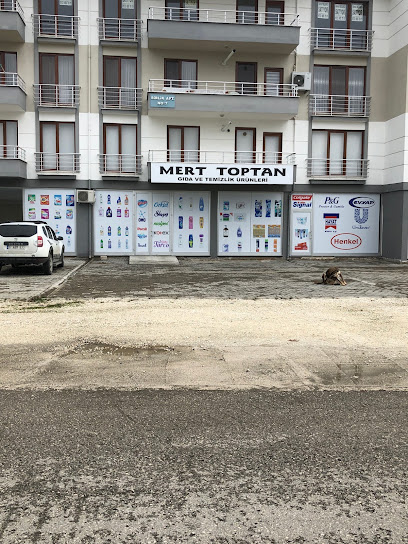MERT TOPTAN GIDA VE TEMİZLİK ÜRÜNLERİ kapak görseli