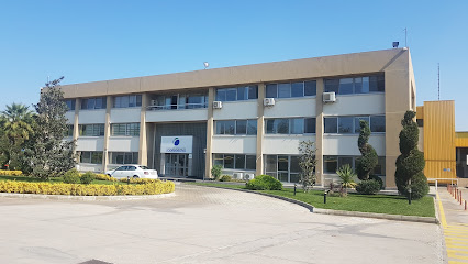 Yakamoz Yağ - Sodrugestvo Group kapak görseli
