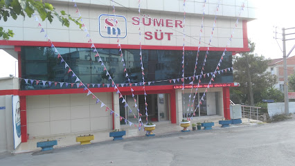 Sümer Süt Ürünleri kapak görseli