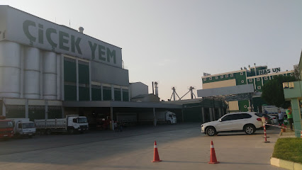 Çiçek Yağ Has Un Fabr. kapak görseli