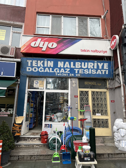 Tekin Nalburiye kapak görseli