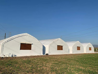 Şifa Mantar Ltd.Şti kapak görseli