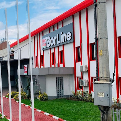 Borline Kimya San. Tic. A.Ş. kapak görseli