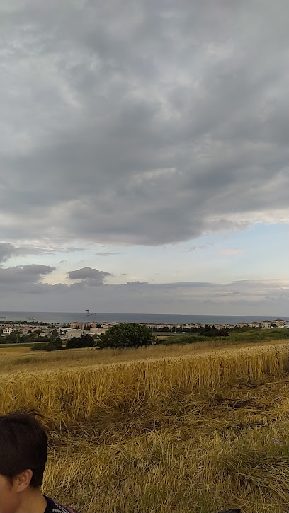Mavi Deniz Yat Fabr. kapak görseli