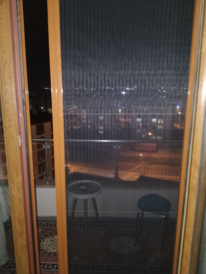 SİNEKLİK BUDUR kapak görseli