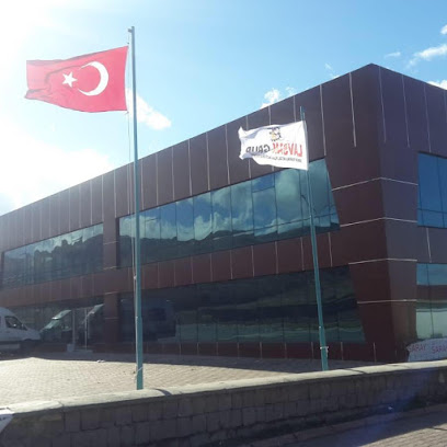 LAVSAN DÖKÜM MAKİNA METAL PLASTİK OTOMOTİV İNŞAAT SAN.TİC.LTD.ŞTİ kapak görseli
