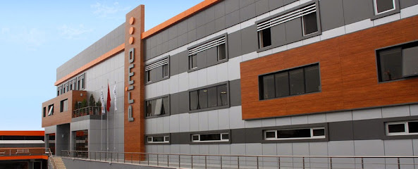 Primo Packaging and Chemical San.Tic.A.Ş. kapak görseli