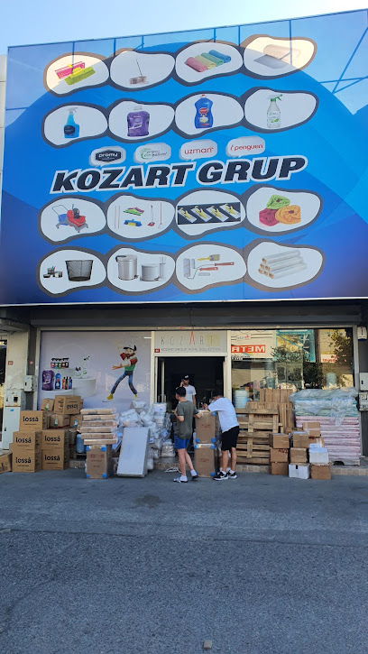 KOZART GRUP İÇ VE DIŞ TİCARET A.Ş. kapak görseli
