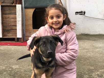 Seka-aksu Kağıt Fabrikasi kapak görseli