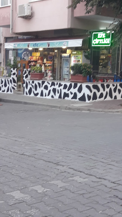 Şifa Medikal kapak görseli