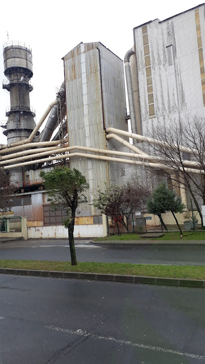 Teverpan Çerkezköy Fabrika kapak görseli