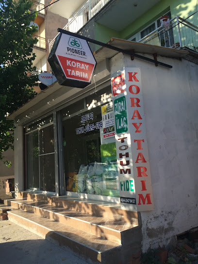 Koray Tarım kapak görseli