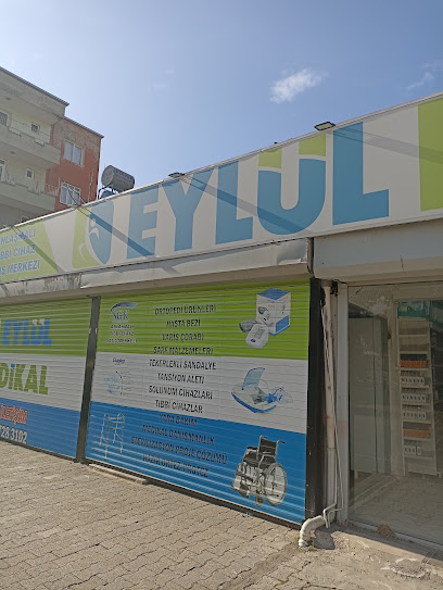 EYLÜL MEDIKAL kapak görseli