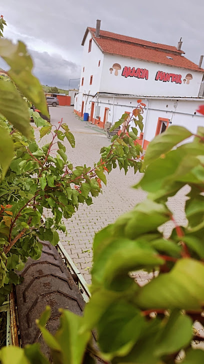 Akkaya Mantar kapak görseli