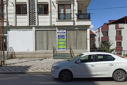 ALLES Profesyonel Ürün ve Hizmetler San. ve Dış Tic. Ltd. Şti. kapak görseli
