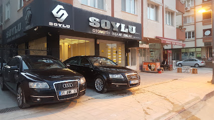 SOYLU Yatırım Ltd. Şti. kapak görseli