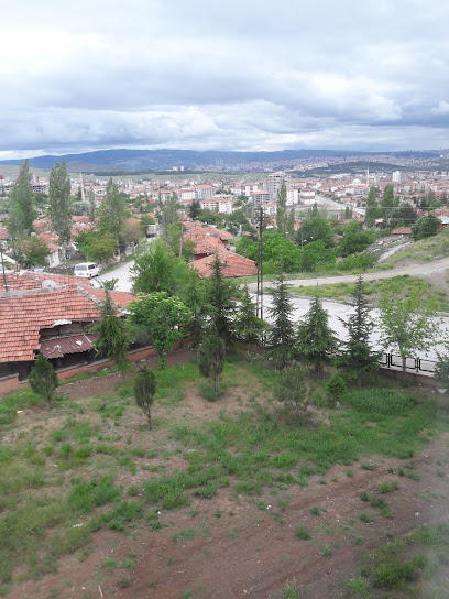 Birlik Sitesi kapak görseli
