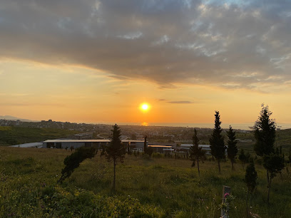 Fabrika Demilaç kapak görseli