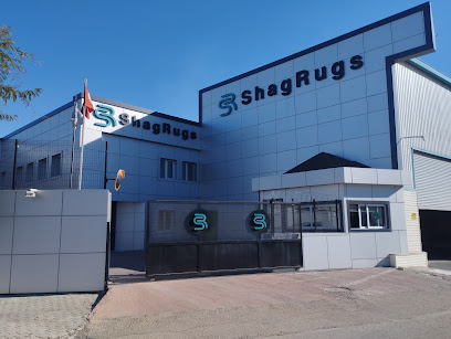 Piramit kapak görseli
