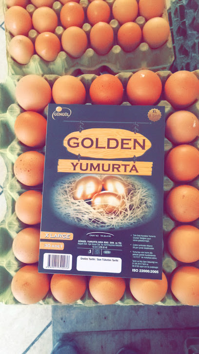 Güngül Yumurta kapak görseli