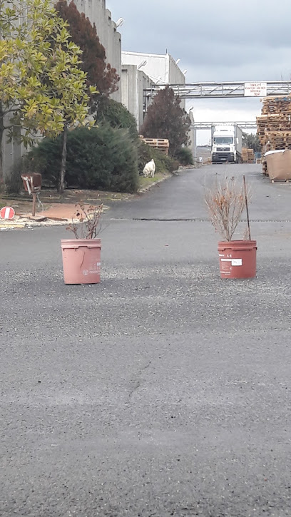 Zirve Tezyinat San. Tic. Ltd. Şti kapak görseli