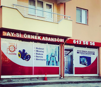 Ay-Si Örnek Asansör Ayancık Şubesi kapak görseli
