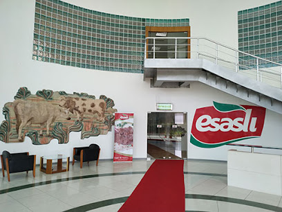 Esaslıgrup GIDA A.Ş. kapak görseli