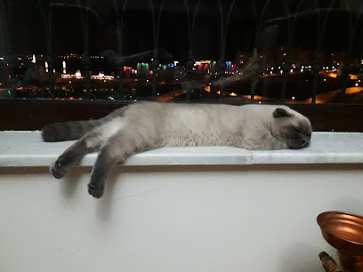 Kuzey Ankara Park kapak görseli