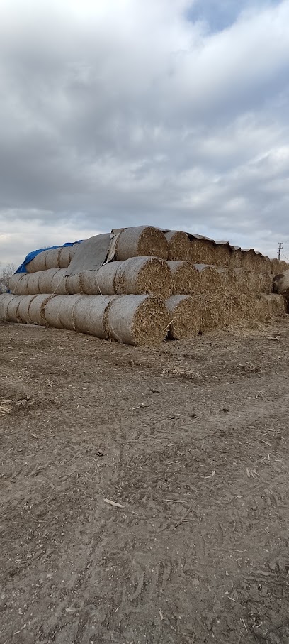 Taşdemir tarım.hayvancılık kurbanlık adresi kapak görseli