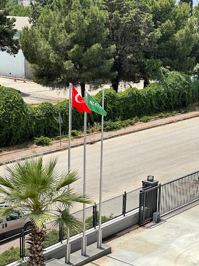 Tan İtriyat kapak görseli